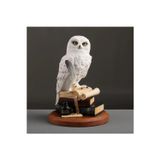 Rakun Home Kitap Üzerinde Beyaz Kar Baykuşu Hedwig Biblosu
