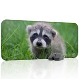 Rakun Oyuncu Gaming Mouse Pad Kauçuk Kaymaz Taban Mousepad (V5, 70x30 XL)