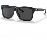 Ralph Lauren 8203QU 5375/87 Erkek Güneş Gözlüğü - Füme