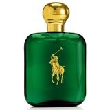 Ralph Lauren Polo EDT 118 ml Erkek Parfüm