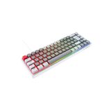 Rampage YORU MINI Gri/Beyaz Type-C Bağlantılı OUTEMU Red Swich Q Mekanik Gaming Oyuncu Klavye