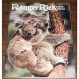 Ranger Rick's Nature Magazine, Dec. 1981. Piggy-back Riders, Those Shocking Fish!, My Dad the Cougar Man, Turned on Rocks, Dragons of the Sea, Pint-sized Pets: Gerbils, Guinea Pigs, Hamsters (Vol. 15