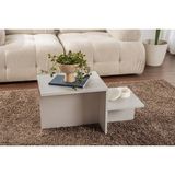 Rani Home Orta Sehpa Sis Gri 80 cm AB-5256