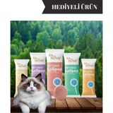 Ranova 5'li Malt Destekli Kedi Ödülü Kedi Vitamini Renkli Lezzetler