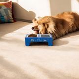 Rarart Köpek Su ve Mama Kabı - Metal Evcil Hayvan Mamalık -Özel Tasarım - Doggy