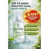 Ras Dashen Ayak Koku Önleyici Bakım Sprey 50ML 6 Adet ( EKONIMİK PAKET )