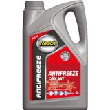 Rasch G12 Organik Radyatör Antifriz Kırmızı -56° - 3 Lt.