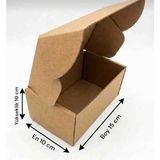 Rass 10×15×10 cm Kilitli Çift Oluk E-Ticaret Karton Kargo Kutusu 5 Adet