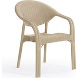 Rattan 4'lü Bambu Bahçe&balkon,teras Sandalye - Bej