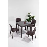 Rattan Small Camlı Kahve Masa Takımı Bahçe&balkon 1 Camlı Masa + 4 Sandalye - 13