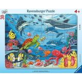 Ravensburger 055661 30 Parça Büyük Çerçeveli Deniz Altında Puzzle