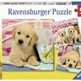Ravensburger 080656 Puppies 3x49 Parça Puzzle