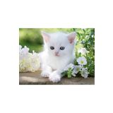 Ravensburger 162437 Beyaz Kedi 1500 Parça Puzzle