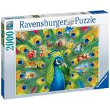 Ravensburger 2000 Parça Puzzle Tavuskuşu