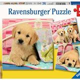 Ravensburger 3x49 Parça Puzzle Puppies Renkli 3+