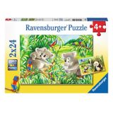 Ravensburger 78202 Koalas Pandas 2x24 Parça Puzzle