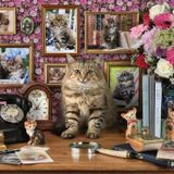 Ravensburger Cute Kitty 1000 Parça Puzzle