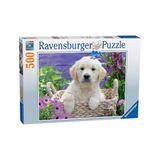 Ravensburger Golden Retriever 500 Parça Puzzle