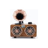 Ravéon Mp Player & Ses Kayıt Cihazı Şarjlı Nostaljik Radyo, Fm, USB ve Sd Kart Desteği ile Çok Yönlü Müzik Ciha