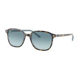 Ray-Ban 0RB 2193 13163M 55 Unisex Güneş Gözlüğü