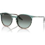 Ray-Ban 0RB 2204 Yuvarlak 1394GK 54 Unisex Güneş Gözlüğü - Çok Renkli