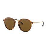 Ray-Ban 0RB 2447 1160 49