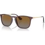 Ray-Ban 0RB 4187 6593/T5 54 Unisex Güneş Gözlüğü - Çok Renkli