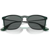Ray-Ban 0RB 4187 6663/81 54 Unisex Güneş Gözlüğü - Çok Renkli
