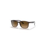 Ray-Ban 0RB 4374 6600M2 56 Unisex Güneş Gözlüğü