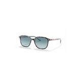 RAY-BAN 0RB2193 13163M 53 UNISEX GÜNEŞ GÖZLÜĞÜ