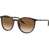 Ray-Ban 0RB2204 902/51 51 Güneş Gözlüğü Metal Çerçeve Kahverengi Cam UV Koruma