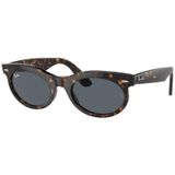 Ray-Ban 0RB2242 902/R5 53 Unisex Güneş Gözlüğü