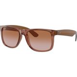 Ray-Ban 0RB4165 659413 55 Renkli Unisex Güneş Gözlüğü