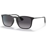 Ray-Ban 0RB4187 622/8G 54 Unisex Güneş Gözlüğü Siyah Çerçeve ile Şık Tasarım