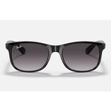 Ray-Ban 0RB4202 Erkek Güneş Gözlüğü