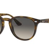 Ray-Ban 0RB4259 710/11 51 Unisex Güneş Gözlüğü