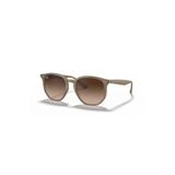 Ray-Ban 0RB4306 616613 54 Erkek Güneş Gözlüğü