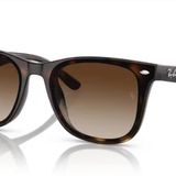 Ray-Ban 0RB4420 710/13 65 Unisex Güneş Gözlüğü