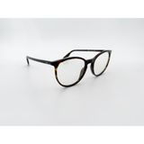 Ray-Ban 2204 902/GJ 54 Erkek Güneş Gözlüğü - Transitions (Koyulaşan Cam)