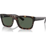 Ray-Ban 4396 135971 54-20 Unisex Güneş Gözlüğü