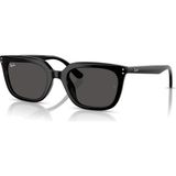 Ray-Ban 4439D 901/87 54 Güneş Gözlüğü Erkekler İçin Siyah Kemik Çerçeve ile Şık Tasarım