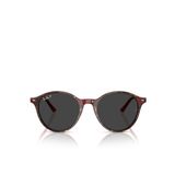 Ray-Ban Bernard RB2230 Yuvarlak Çok Renkli Unisex Polarize Güneş Gözlüğü