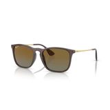 Ray-Ban Chris RB 4187 6593T5 54 Transparent Brown-Brown Polarize Unisex Güneş Gözlüğü