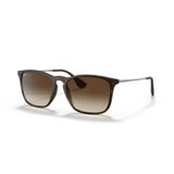 Ray-Ban Chris RB 4187 Unisex Güneş Gözlüğü