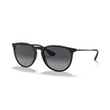 Ray-Ban Erika RB 4171 622/8G 54 Siyah-Gri Güneş Gözlüğü