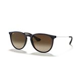 Ray-Ban Erika RB 4171 631513 54 Mavi-Kahverengi Unisex Güneş Gözlüğü