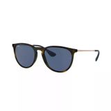 Ray-Ban Erika RB 4171 639080 54 Kahverengi-Mavi Unisex Güneş Gözlüğü