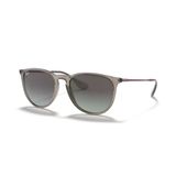 Ray-Ban Erika RB 4171 65138G 54 Şeffaf Gri Unisex Güneş Gözlüğü