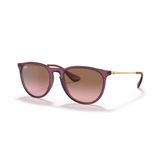 Ray-Ban Erika RB 4171 659114 54 Pembe-Kahverengi Unisex Güneş Gözlüğü