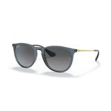 Ray-Ban Erika RB 4171 6592T3 54 Şeffaf Mavi-Gri Polarize Unisex Güneş Gözlüğü